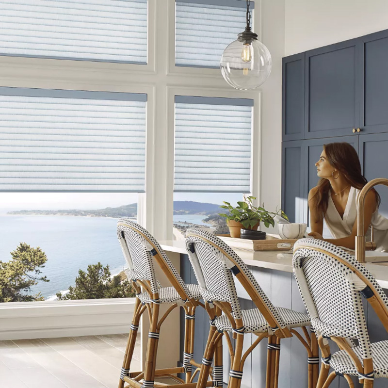 lady staring out the window with new blinds